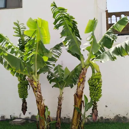 2 Splendida In Tenerife Del Sur Casa Trilly Dom wakacyjny Arona (Tenerife)